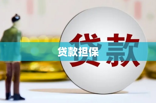岳麓贷款担保