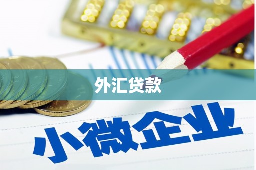 滑县外汇贷款