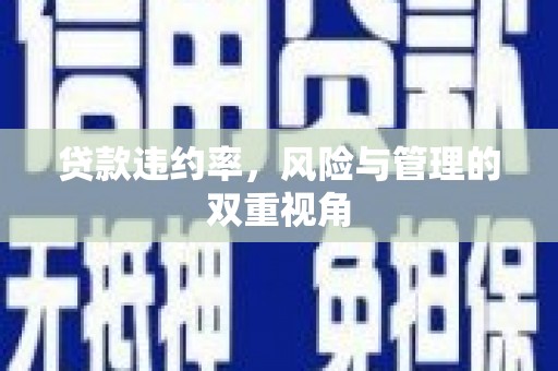 云霄贷款违约率，风险与管理的双重视角