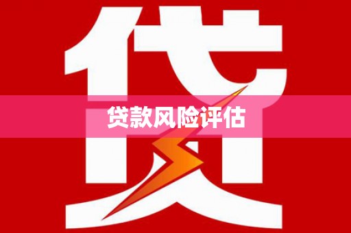 集美贷款风险评估