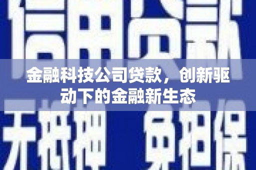 兴国金融科技公司贷款，创新驱动下的金融新生态