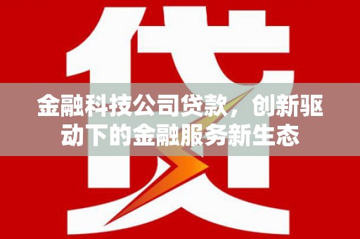 无极金融科技公司贷款，创新驱动下的金融服务新生态