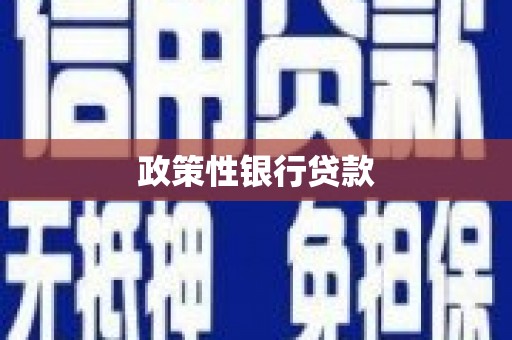 红安政策性银行贷款
