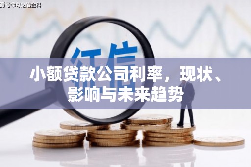 安县小额贷款公司利率，现状、影响与未来趋势