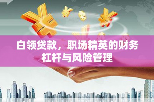 门头沟白领贷款，职场精英的财务杠杆与风险管理