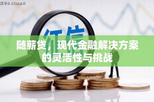 四子王旗随薪贷，现代金融解决方案的灵活性与挑战
