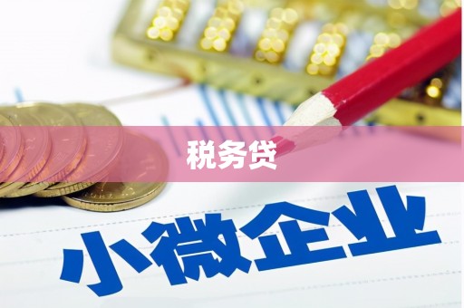 环江税务贷