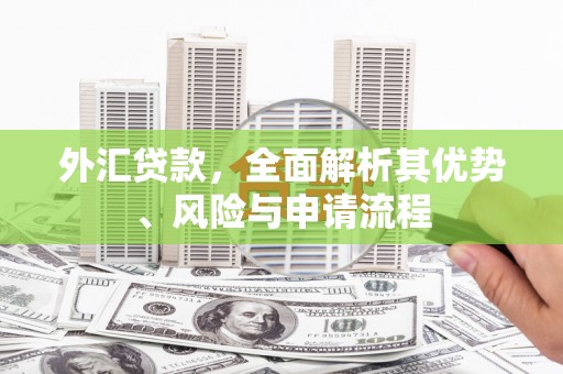 湖里外汇贷款，全面解析其优势、风险与申请流程