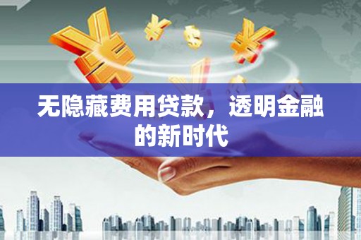 特克斯无隐藏费用贷款，透明金融的新时代