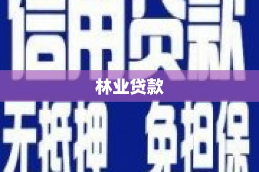 云龙林业贷款