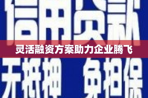 泉山灵活融资方案助力企业腾飞