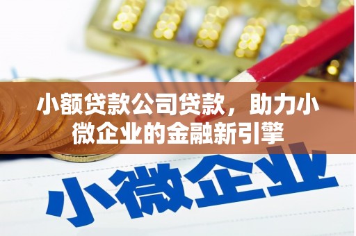 郴州小额贷款公司贷款，助力小微企业的金融新引擎