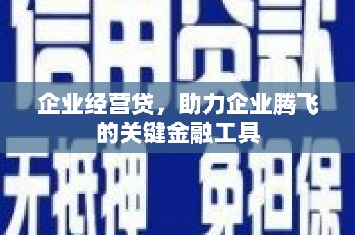 庆元企业经营贷，助力企业腾飞的关键金融工具