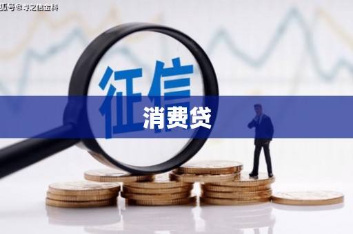 阜平消费贷