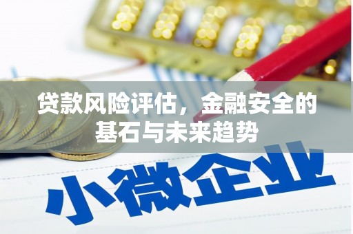 汇川贷款风险评估，金融安全的基石与未来趋势
