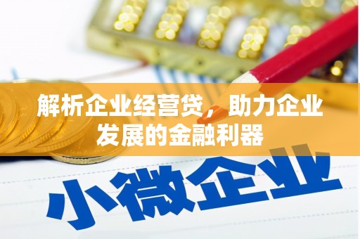 漳州解析企业经营贷，助力企业发展的金融利器