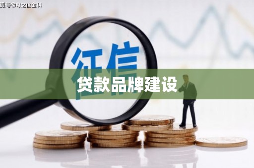 玉树贷款品牌建设