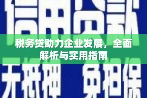 双城税务贷助力企业发展，全面解析与实用指南