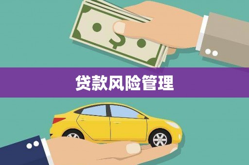 西安贷款风险管理