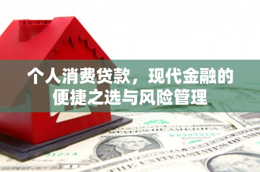 陆川个人消费贷款，现代金融的便捷之选与风险管理