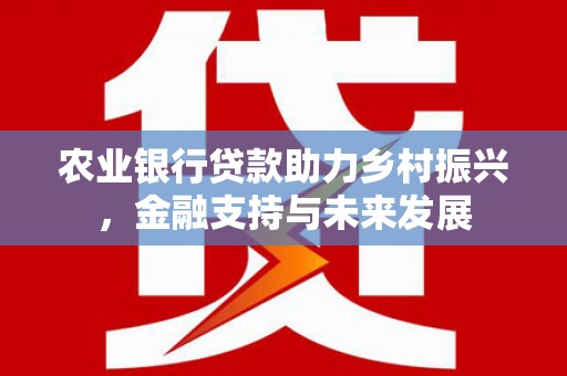 凤城农业银行贷款助力乡村振兴，金融支持与未来发展