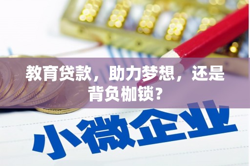 新林教育贷款，助力梦想，还是背负枷锁？
