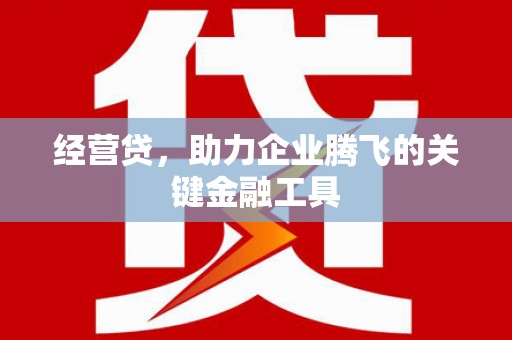 金阳经营贷，助力企业腾飞的关键金融工具