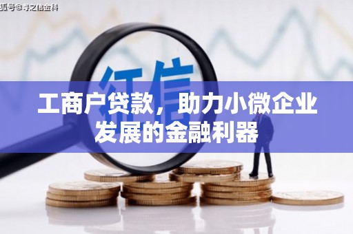 临安工商户贷款，助力小微企业发展的金融利器