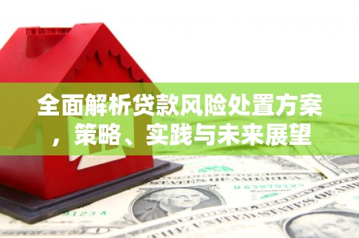 云梦全面解析贷款风险处置方案，策略、实践与未来展望