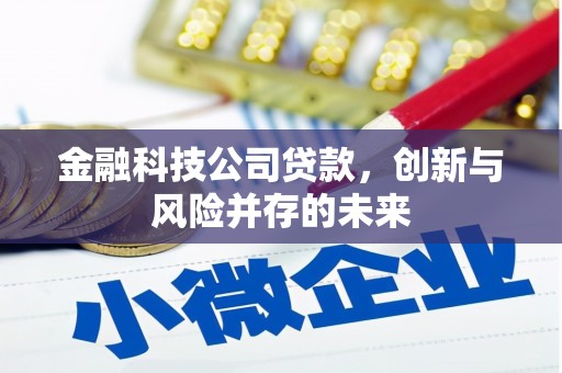 罗山金融科技公司贷款，创新与风险并存的未来
