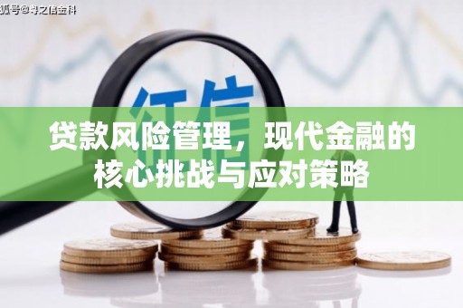 武川贷款风险管理，现代金融的核心挑战与应对策略