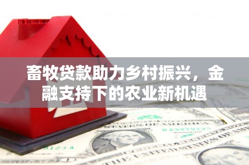 赤坎畜牧贷款助力乡村振兴，金融支持下的农业新机遇