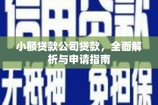 东凤小额贷款公司贷款，全面解析与申请指南