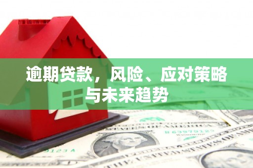 巩义逾期贷款，风险、应对策略与未来趋势