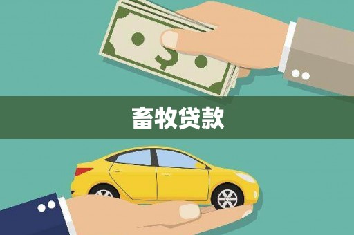 泰来畜牧贷款