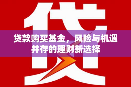 宾川贷款购买基金，风险与机遇并存的理财新选择