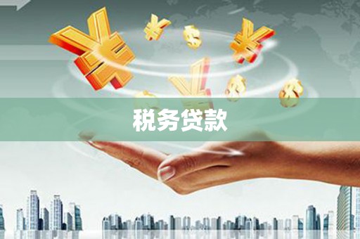 万里税务贷款