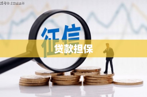 丰城贷款担保