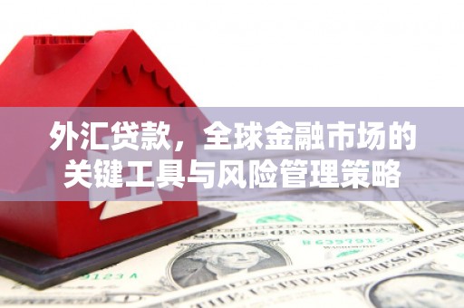 大朗外汇贷款，全球金融市场的关键工具与风险管理策略