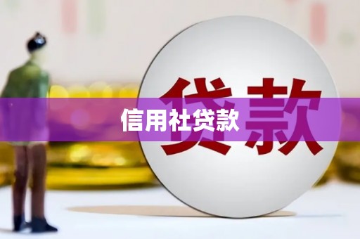 师宗信用社贷款