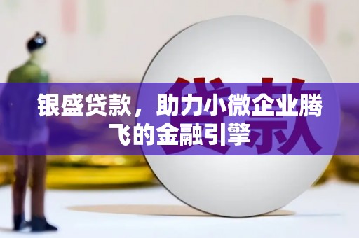 海东银盛贷款，助力小微企业腾飞的金融引擎