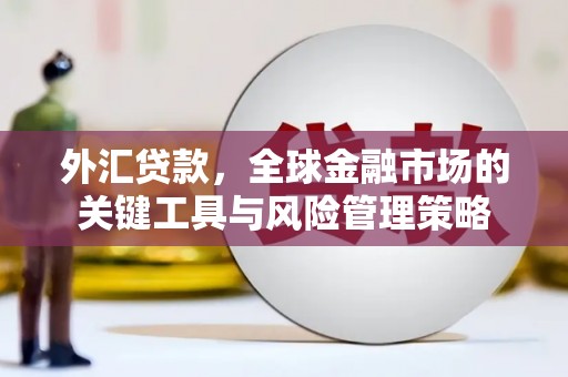 南宫外汇贷款，全球金融市场的关键工具与风险管理策略