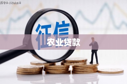 清镇农业贷款