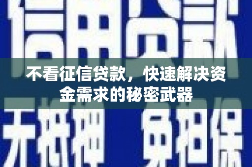 甘南不看征信贷款，快速解决资金需求的秘密武器