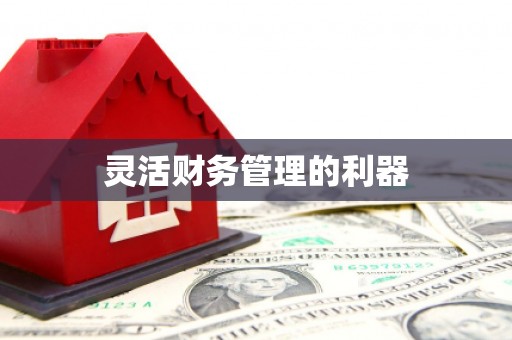 大庆灵活财务管理的利器