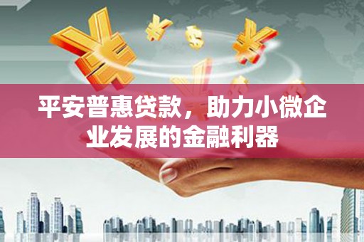 庄浪平安普惠贷款，助力小微企业发展的金融利器