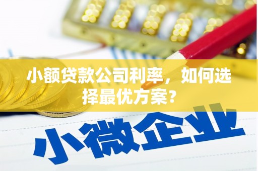 孟村小额贷款公司利率，如何选择最优方案？