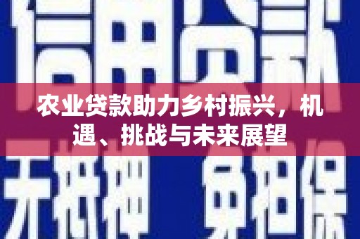 湖里农业贷款助力乡村振兴，机遇、挑战与未来展望