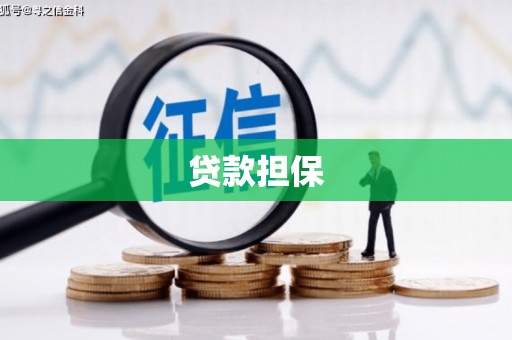 龙游贷款担保