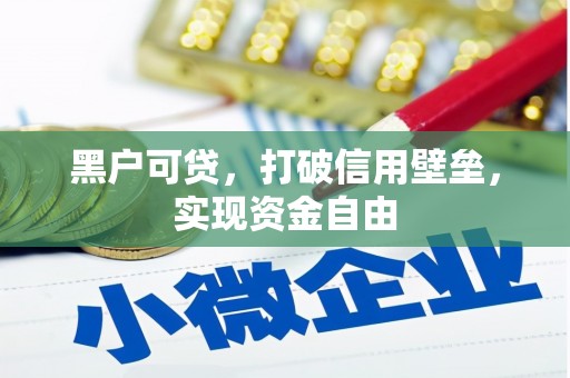 勉县黑户可贷，打破信用壁垒，实现资金自由